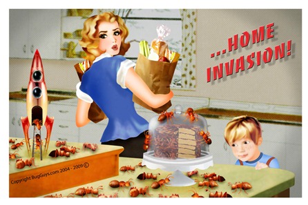 home invasion ants