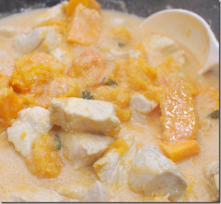 FOFF Y-Cinta Chicken and Squash Curry4