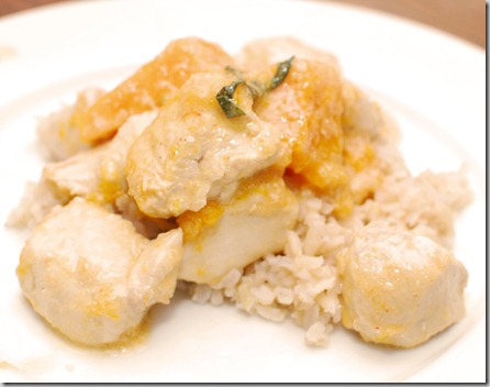 FOFF Y-Cinta Chicken and Squash Curry5