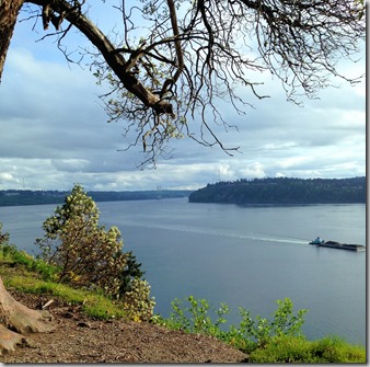 Point Defiance scenic
